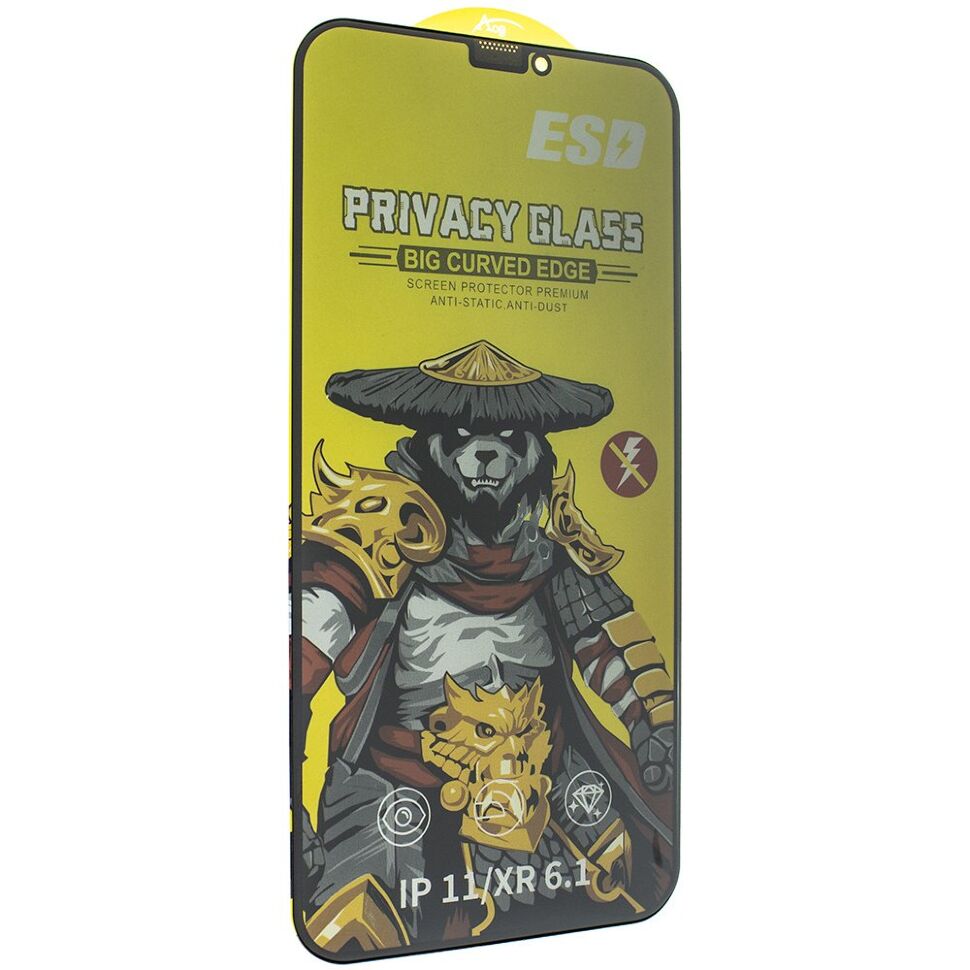 Захисне скло PRIVACY NEW ESD APPLE iPhone XR | 11