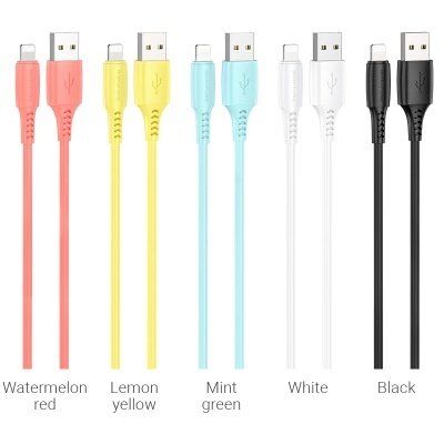 USB кабель BOROFONE BX40 charging data USB - LIGHTNING (банка 30 шт.)